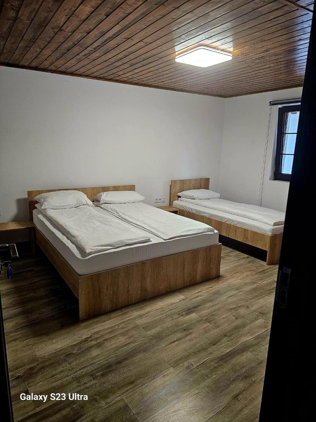 Domeniul Roa Hotel Avrig Eksteriør billede